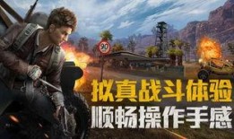 和平精英老王爆料最新,全新版本大揭秘，敬请期待！